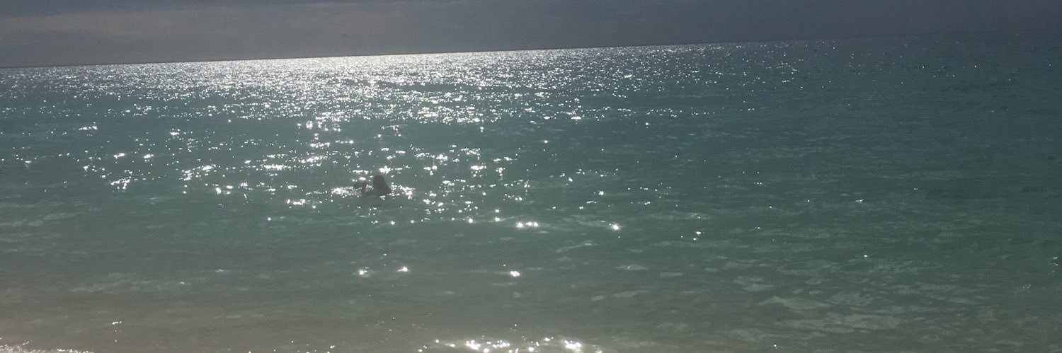 mariamerpineres's profile banner image