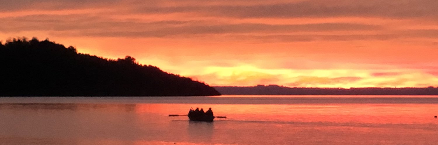 alberto undurraga banner