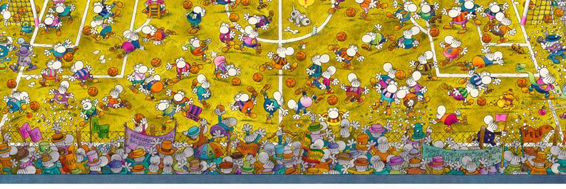 fmcas's profile banner image