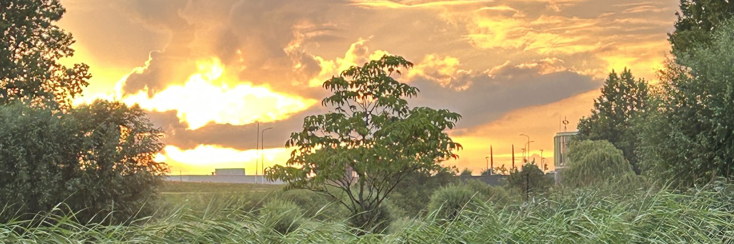 NK_2902's profile banner image