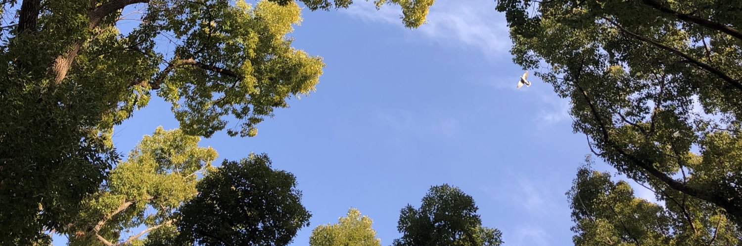 pumpy_pnd's profile banner image