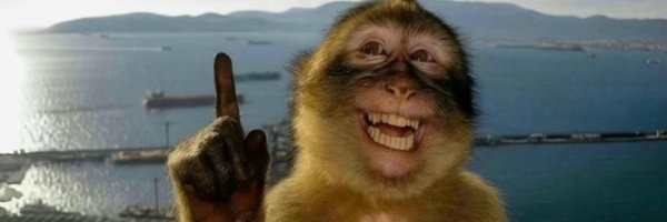 gladyseverdeen Profile Banner