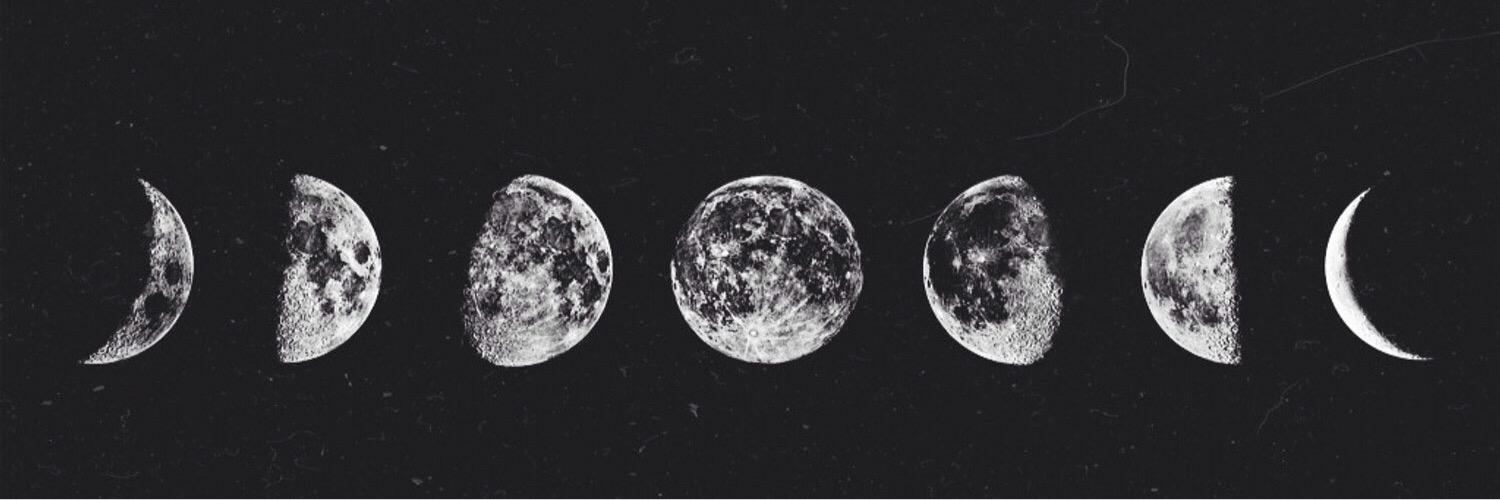 beautifulbeea8's profile banner image