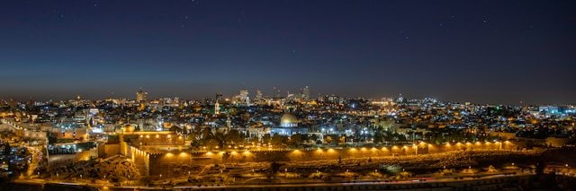 Lisa Schneider banner