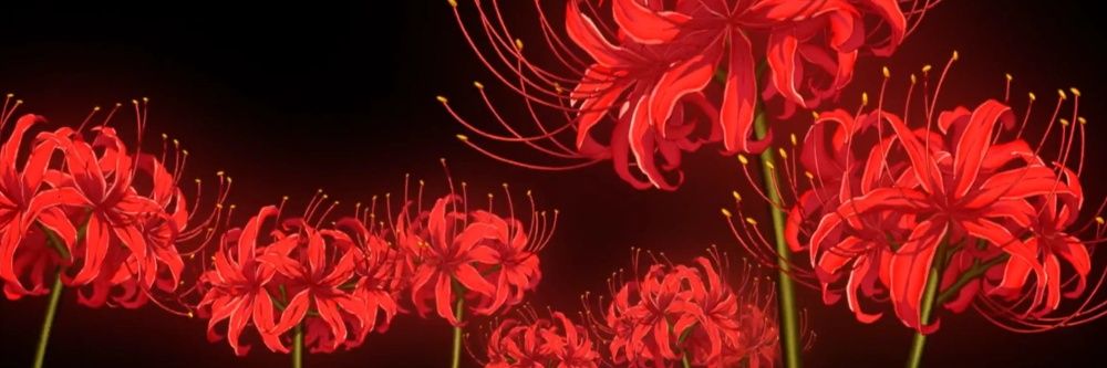 maria_497's profile banner image