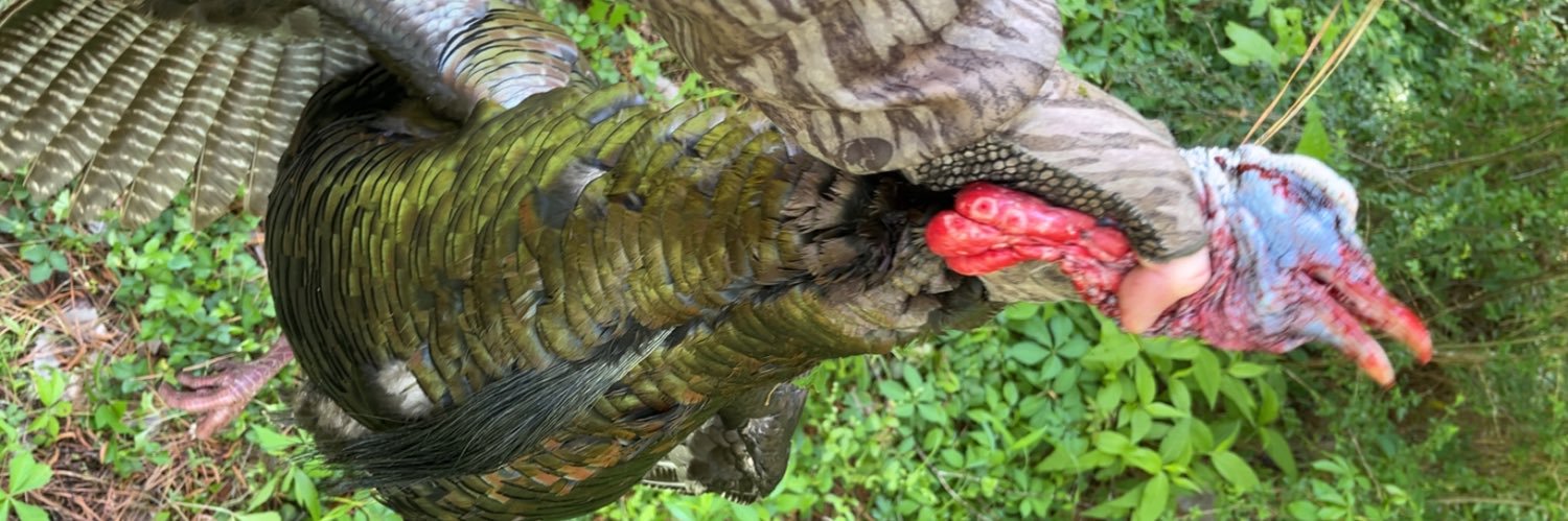 johnny hamcheck banner