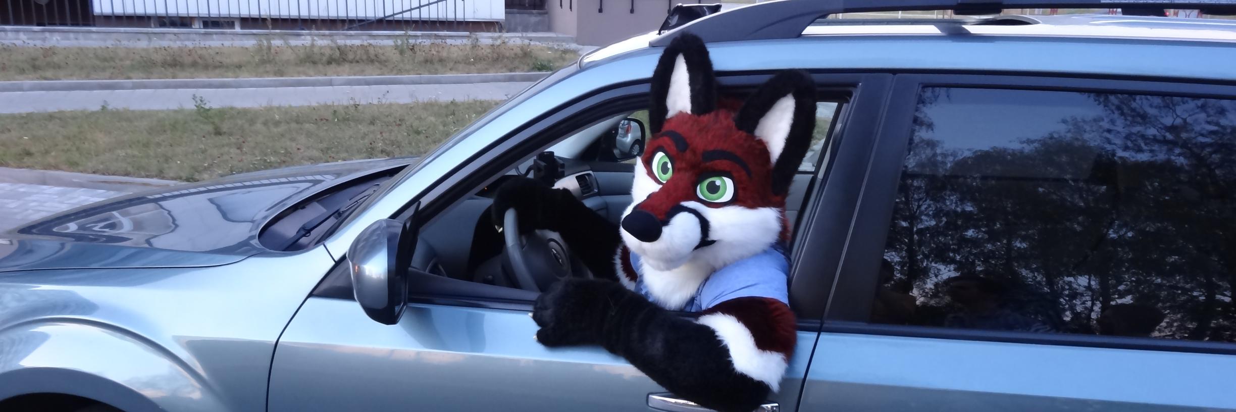 FurrySquad's profile banner image