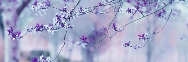 Irina_Miller_'s profile banner image