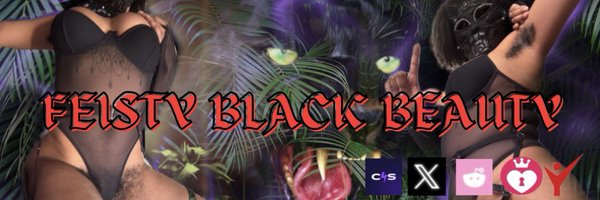 FeistyBBeauty Profile Banner
