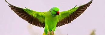 thanarampatel's profile banner image