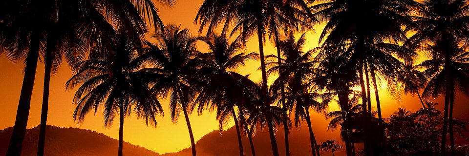lazarocervera's profile banner image
