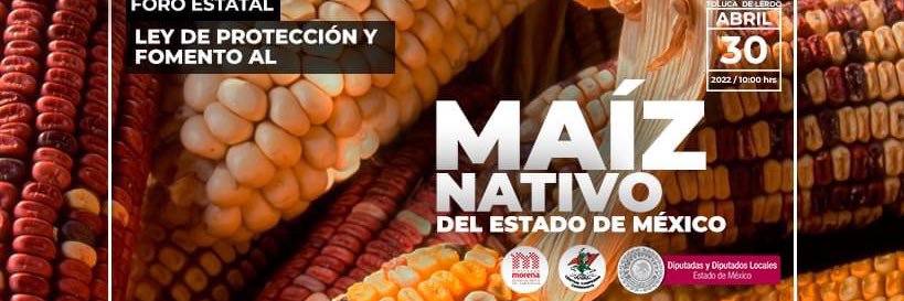 Max Correa banner