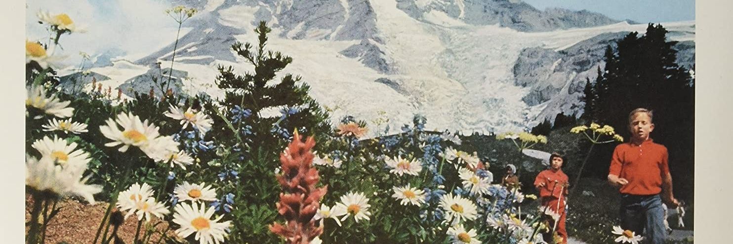 Antimetaphysik Metaphysik Aktion banner