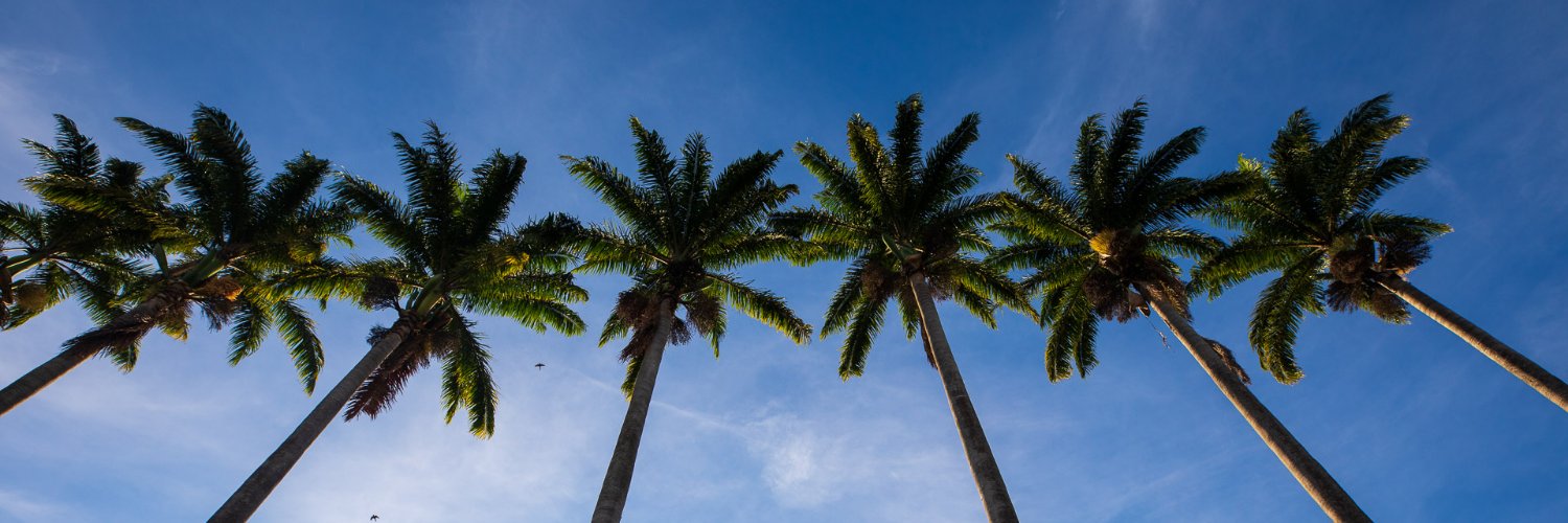 ufvbr's profile banner image