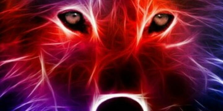 NicolasMacris10's profile banner image