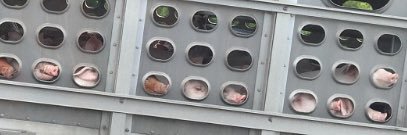 HaileeHanthorn's profile banner image