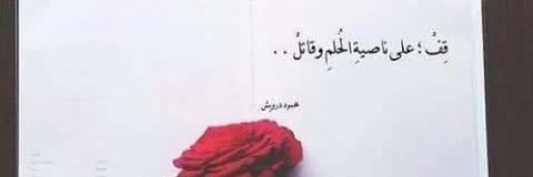 rawaajabbar's profile banner image