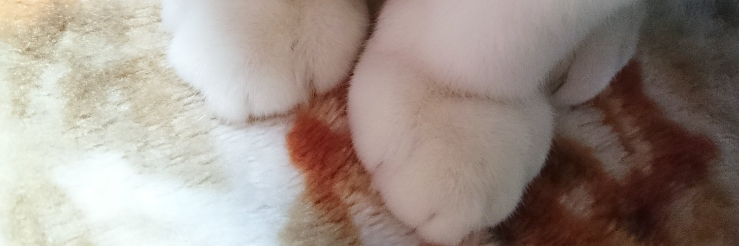 mameil's profile banner image