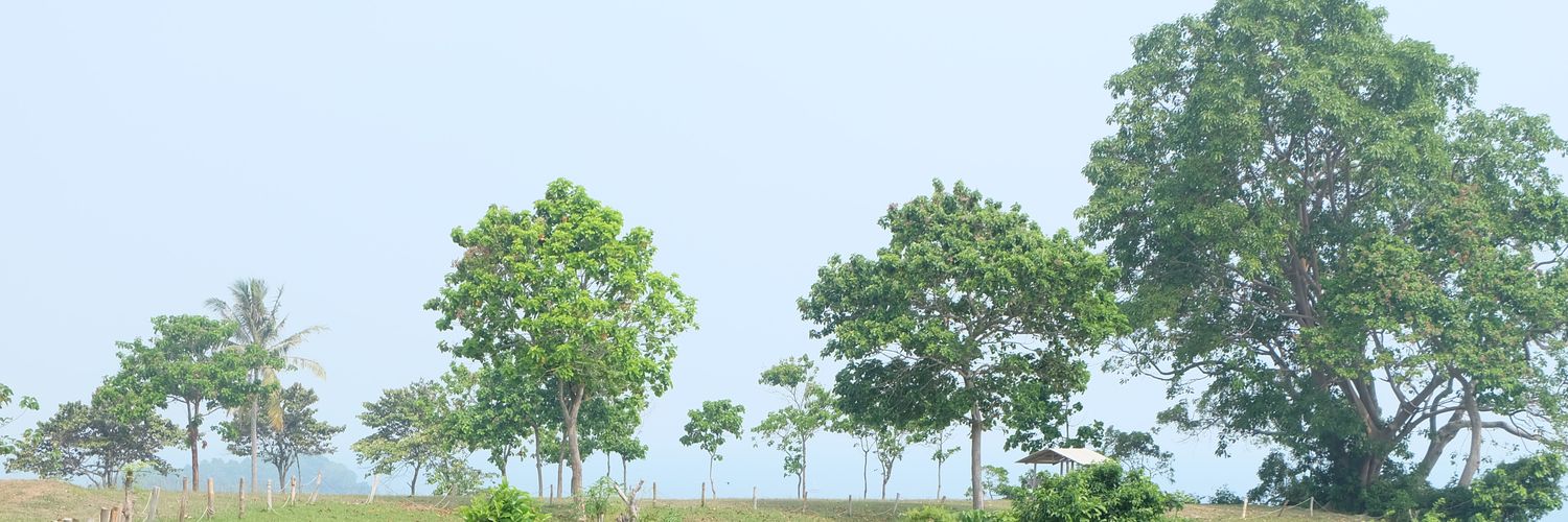 notsamrmstrong's profile banner image