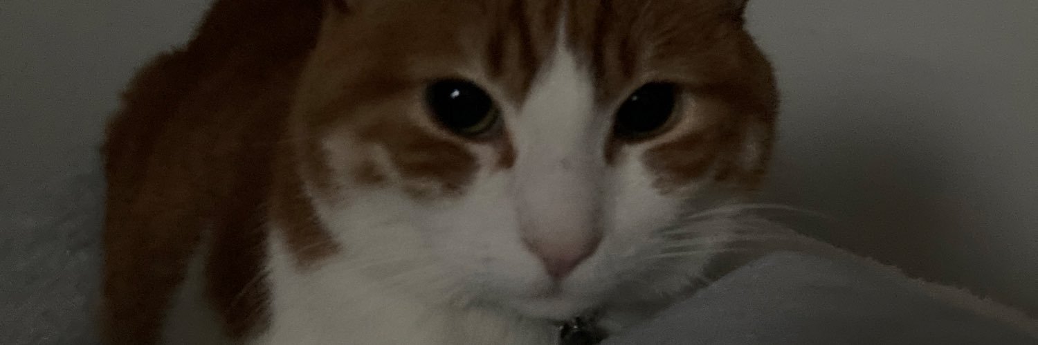 spam_m00ds's profile banner image