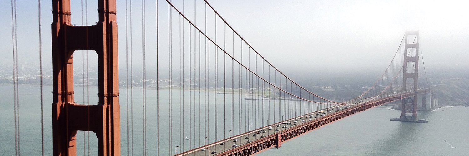 Allie Rucker (Fish) banner