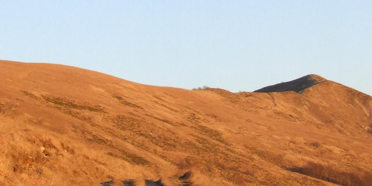 valborbera's profile banner image