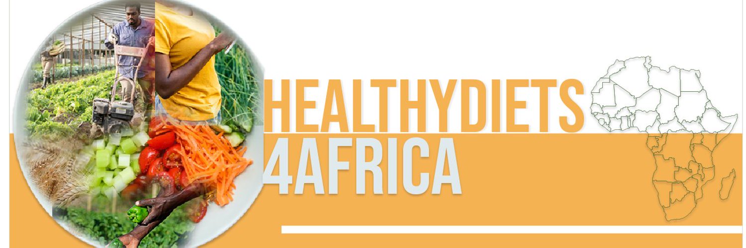 HealthyDiets4Africa banner