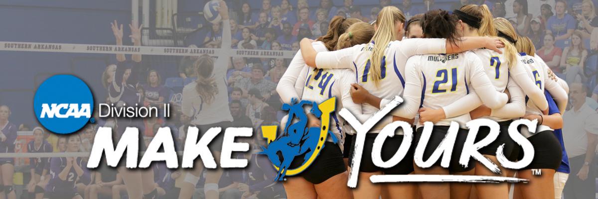 Muleridervball's profile banner image