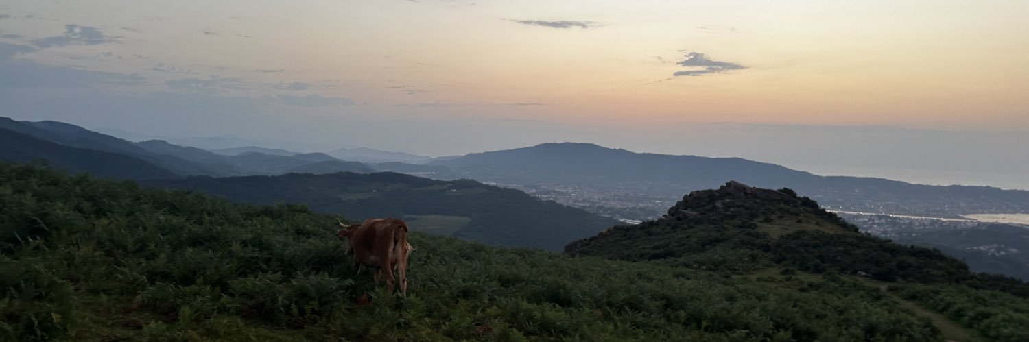 nyseSRCL's profile banner image