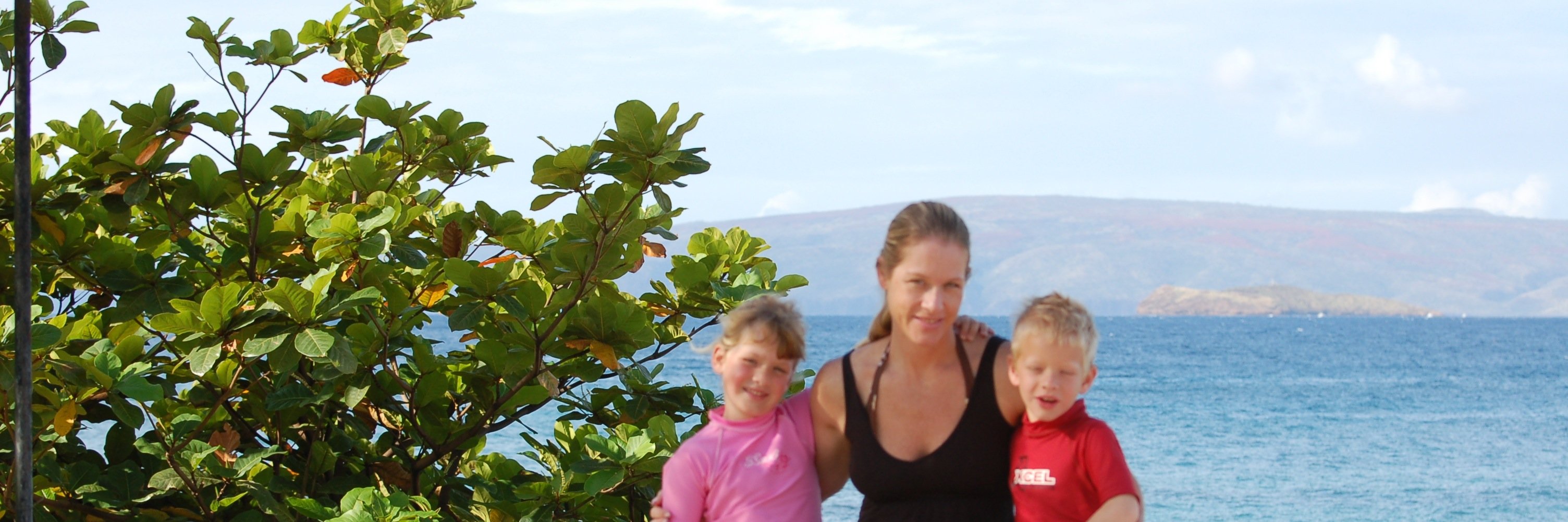 Karen Hartsell banner