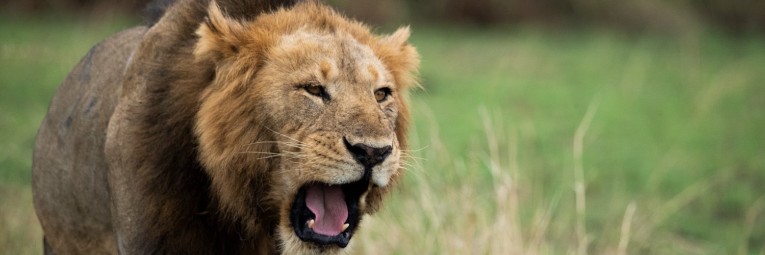 Mwebaze_Clinton's profile banner image