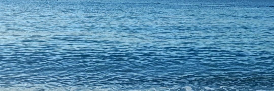 osmmsl's profile banner image