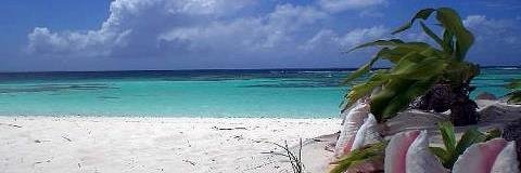 babsbeach's profile banner image