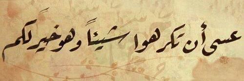 Mokhtar20139's profile banner image