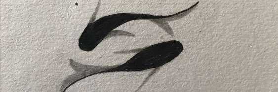 Davukmlsf's profile banner image