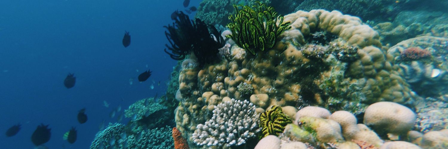 Eduardus Rayendra banner