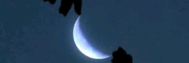 MOREIRAERICSG19's profile banner image