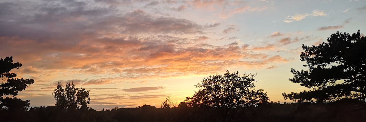 VictoriaBuxton5's profile banner image
