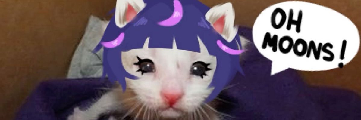 lutz mf mauz(Tommi🤍) banner