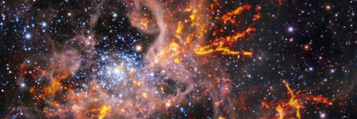 SPACE WHALES banner