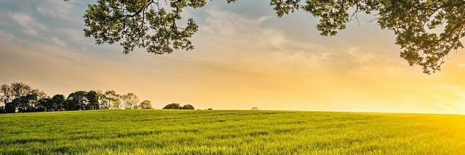 _DHARMESH_'s profile banner image