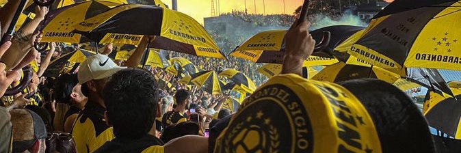 iara_saanchez's profile banner image