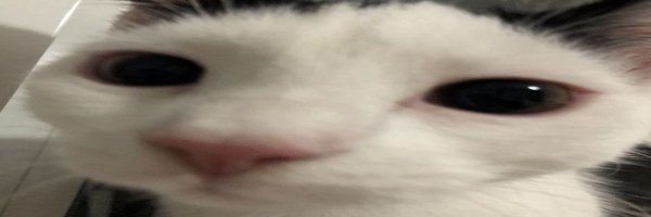 skippybap Profile Banner