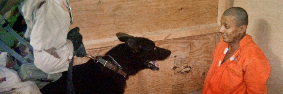 Casey Rocket #1 fan banner