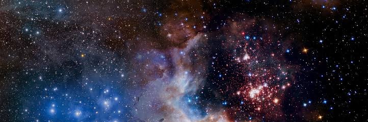 1_2_Django's profile banner image