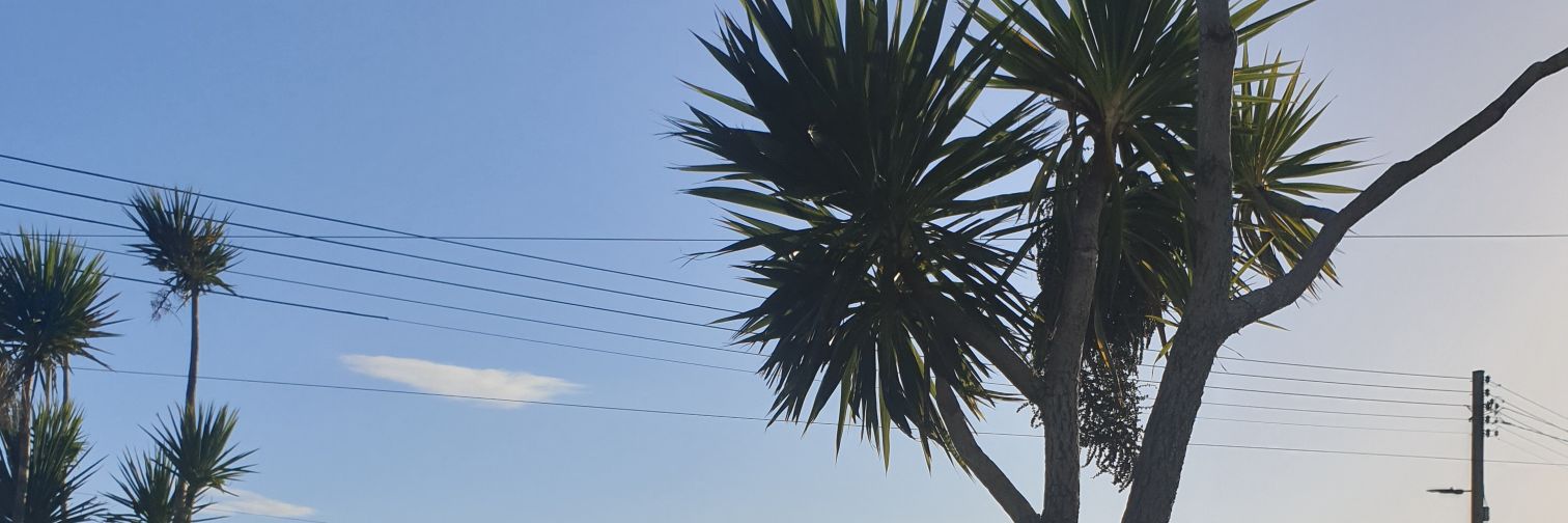 WeeDougieG's profile banner image