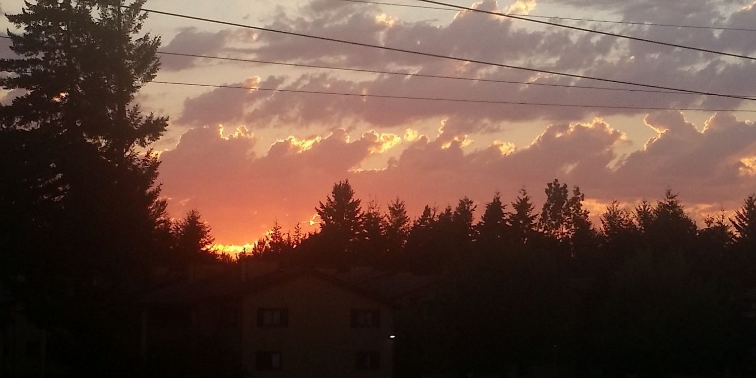 chili hot doug banner