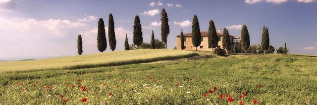 dorodi1972's profile banner image