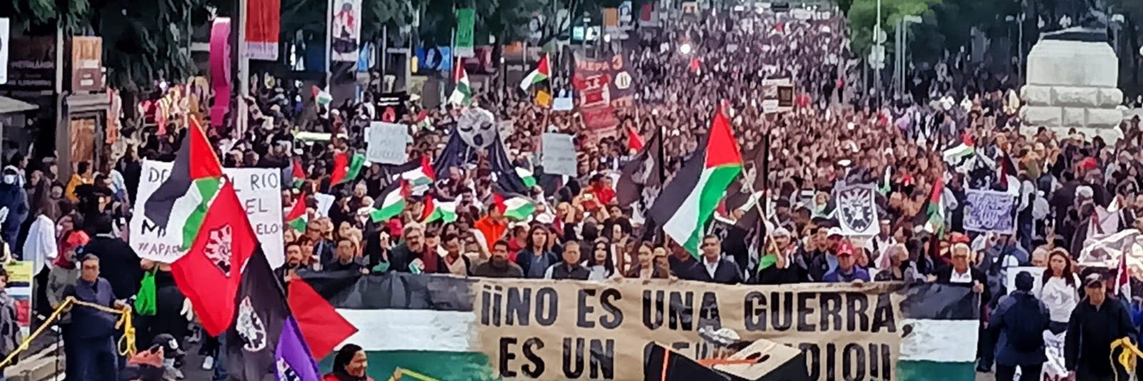 PLATAFORMA COMÚN POR PALESTINA banner