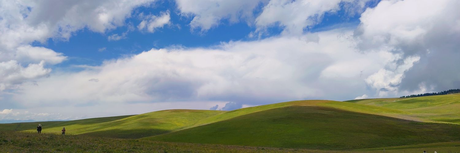 Richard Zhao banner